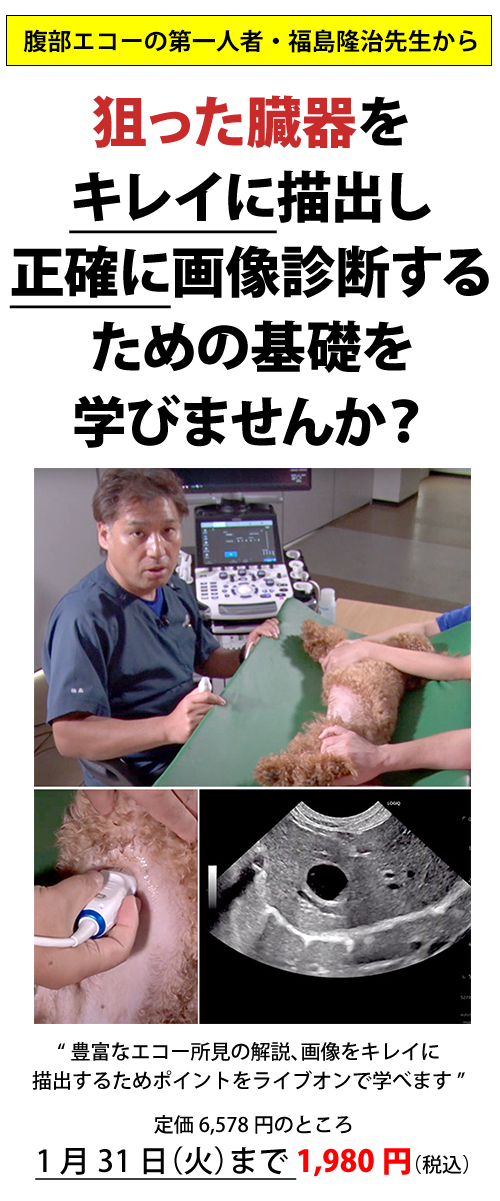 なぜ、5割の獣医師が、腹部エコーの画像診断を正確に行うことができないのか？