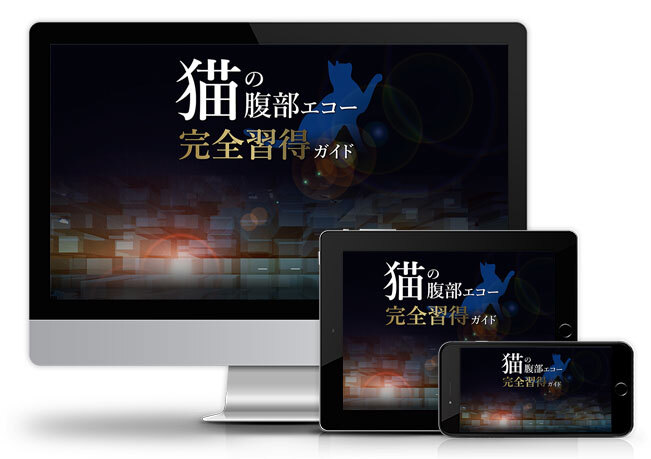 「猫」の腹部エコー完全習得ガイド│医療情報研究所DVD