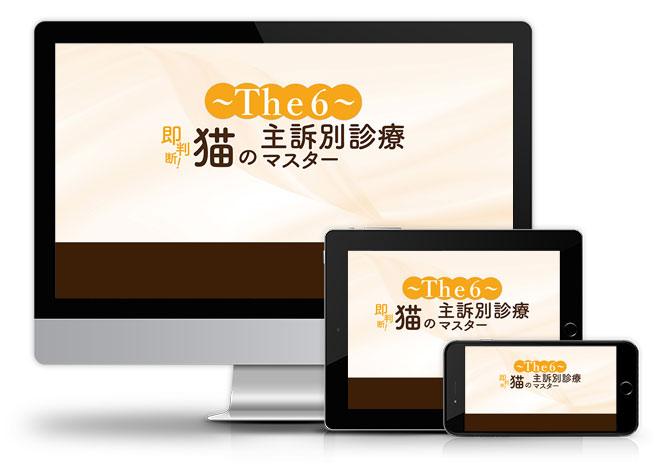 即判断！猫の主訴別診療マスター～The6～│医療情報研究所DVD