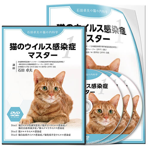 現品限り一斉値下げ！ 犬猫の貧血診断・治療アプローチ 獣医学 DVD