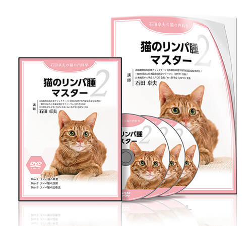 猫のリンパ腫マスター | 医療情報研究所 DVD教材ストア