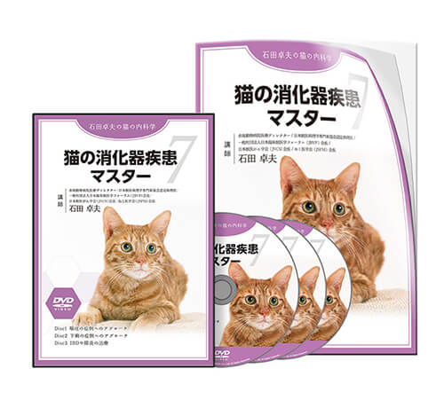 猫の消化器疾患マスター│医療情報研究所DVD
