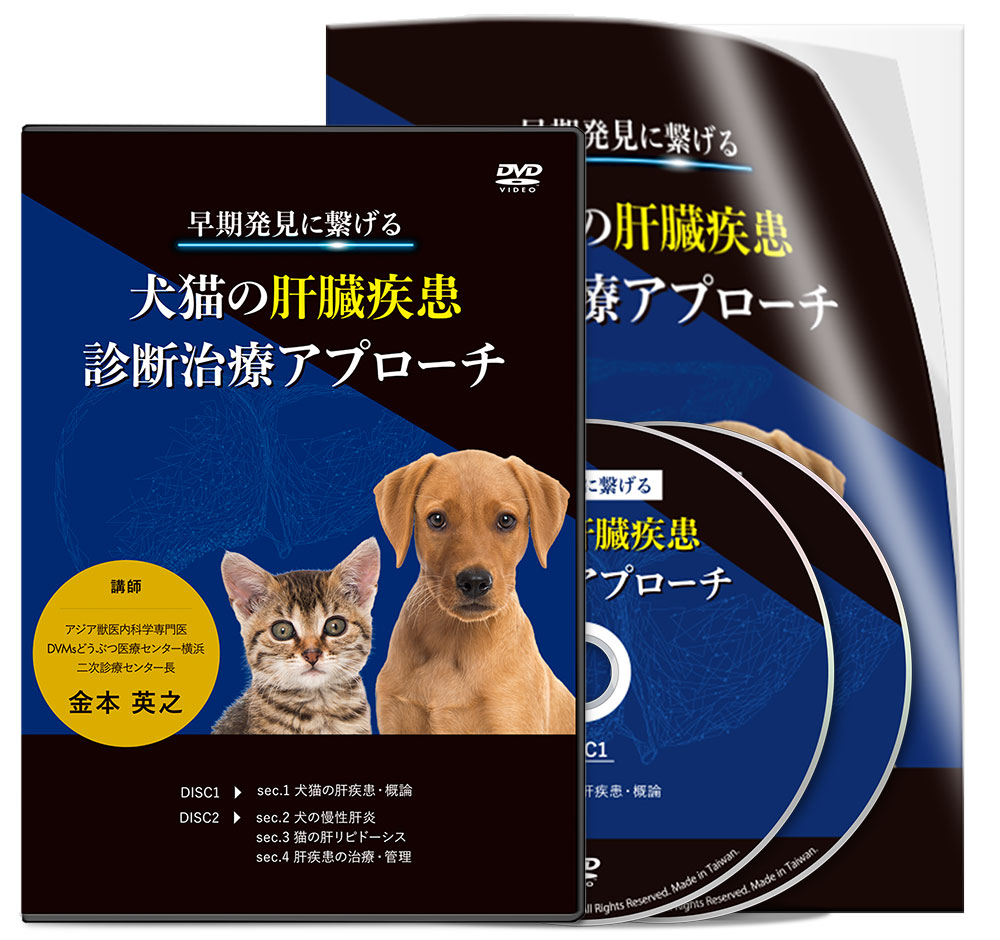 親切仕様犬と猫の治療ガイド 2015 私はこうしている 語学・辞書・学習参考書