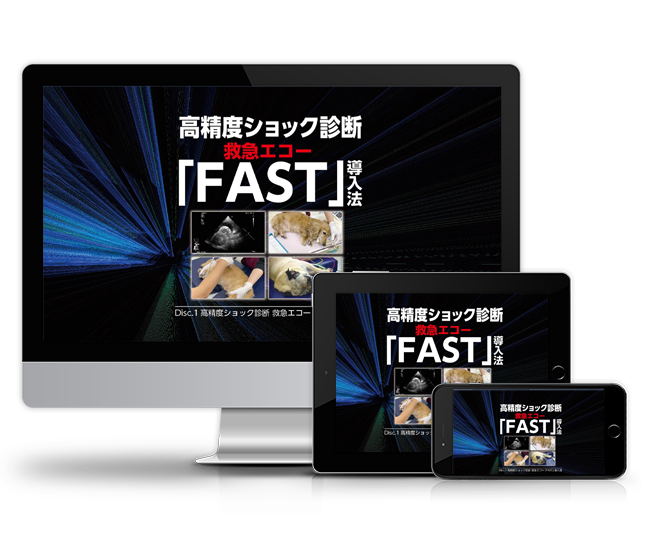 高精度ショック診断 救急エコー「FAST」導入法 | 医療情報研究所 DVD