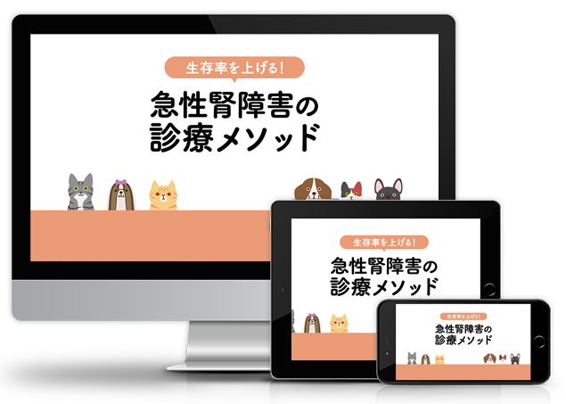 生存率を上げる!急性腎障害の診療メソッド│医療情報研究所DVD