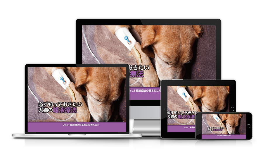 必ず知っておきたい 犬猫の輸液療法│医療情報研究所DVD