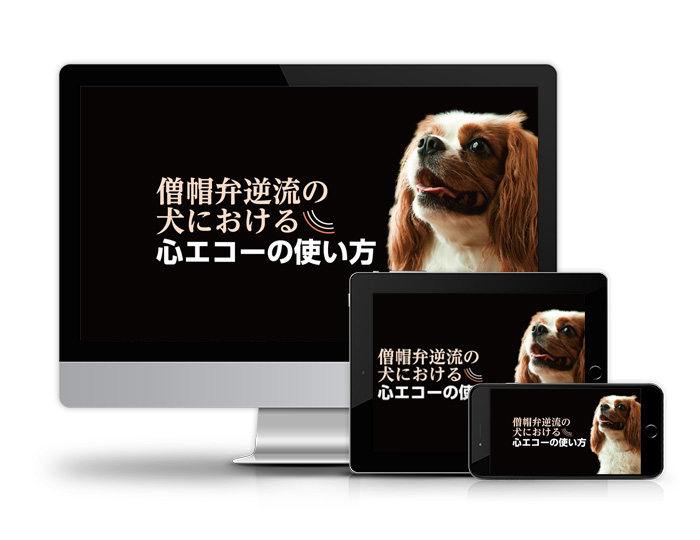 僧帽弁逆流の犬における心エコーの使い方│医療情報研究所DVD