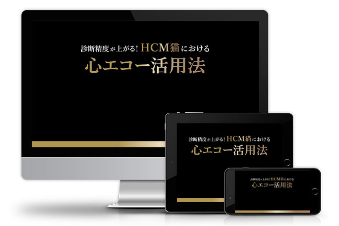診断精度が上がる！HCM猫における心エコー活用法│医療情報研究所DVD