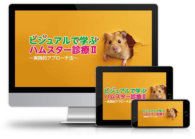 ビジュアルで学ぶハムスター診療Ⅱ~実践的アプローチ法~│医療情報研究所DVD