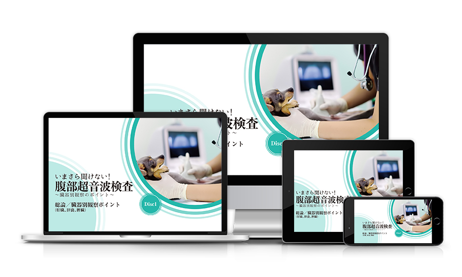いまさら聞けない！腹部超音波検査~臓器別観察のポイント~│医療情報研究所DVD